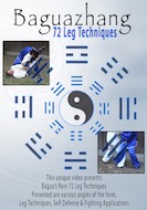 Baguazhang 72 Leg Techniques